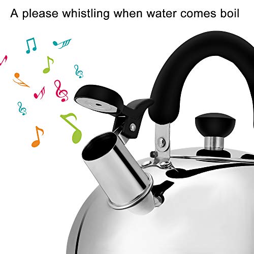 Tea Kettle for Stovetop Whistling Tea Pot, Stainless Steel Teakettle Tea Pots for Stove Top, 3.2QT(3-Liter) Large Capacity with Capsule Base by ECPURCHASE