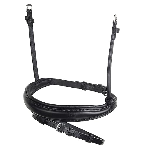 Collegiate Mono Crown Flash Noseband, Black, Full