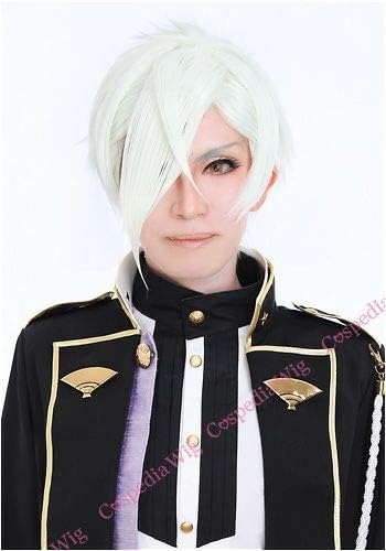 刀剣乱舞 膝丸 風 ウィッグ キャラウィッグ 美容師セット済 耐熱