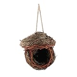 Tbest Kreative Foto-Prop-Vogel-Käfig-Schädlingskontrolle Ungiftiger Papagei Hamster Kleine Haustiere Tiere Käfig Hängende Dekor für Spielszene Spielen Szene