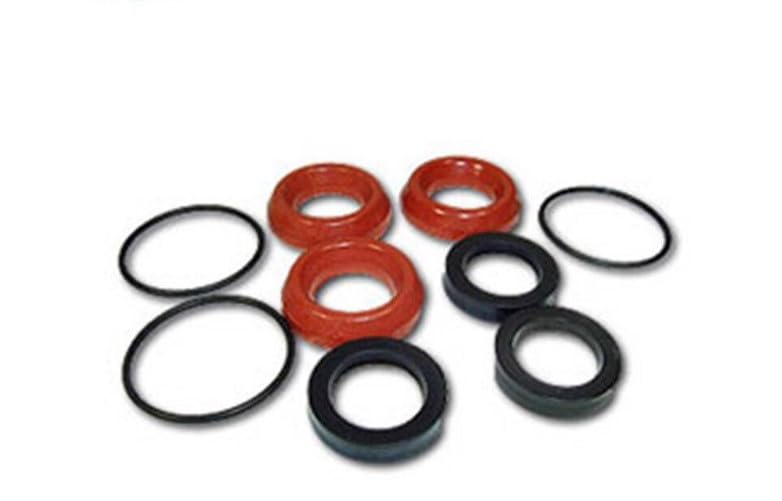 Genuine 1887 Seal KIT Compatible with Annovi Reverberi RK RKA XRC 20mm Pumps AR1887