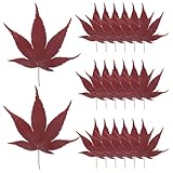 Lurrose 30枚 天然紅葉 料理飾り 和食用 刺身 寿司 装飾 葉っぱ 秋のカエデの葉 食品用飾り お皿の飾り付けに最適