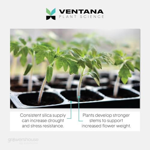 VPS Structure Suplemento de Sílice 1 Gal miniatura 4