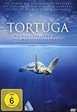  Tortuga - Die unglaubliche Reise der Meeresschildkröte
