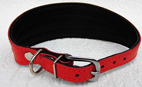 Podenco Greyhound Windhund - Halsband, Halsumfang 40-47cm/65mm Leder °ROT°(PL.9-10-626)