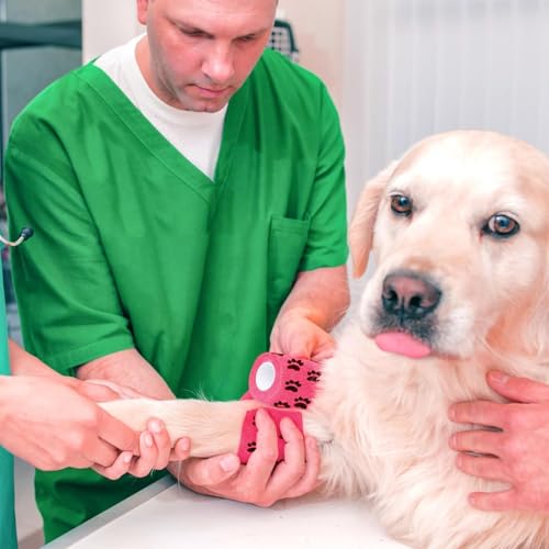 12-Rollen Selbsthaftende Bandage Hund Vet Verband Elastische Selbstklebender Verband, Selbsthaftender Verband, Gipsbinden, Cohesive Pet Vet Wrap für Katze,Hund,Pferd Bein Klebeverband(2.5cm x 4m)