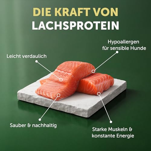 Nature's Protection Superior Care Trockenfutter für Hunde, Lachs 1,5 kg