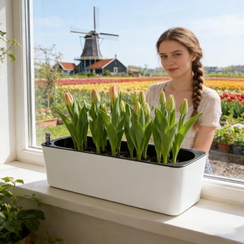 Pot de fleurs pour orchidées d'intérieur et extérieur respirant