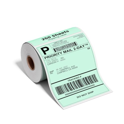 Image of Phomemo 4x6 Green Thermal Label, Shipping Labels Pack of 250 4x6 Roll Labels, Compatible with Phomemo, Zebra, Rollo, Jadens and Other Thermal Printers