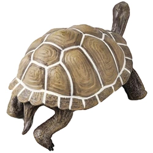 Jouet éducatif tortue pour occuper les enfants loin des écrans avec réalisme