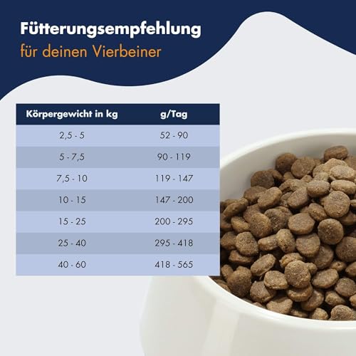 DR.CLAUDER'S - Hyposensitive | Trockenfutter mit Singleprotein für Sensible, ausgewachsene Hunde. Getreide- und glutenfreies Alleinfuttermittel im Beutel | 350g Lachs&Kartoffel