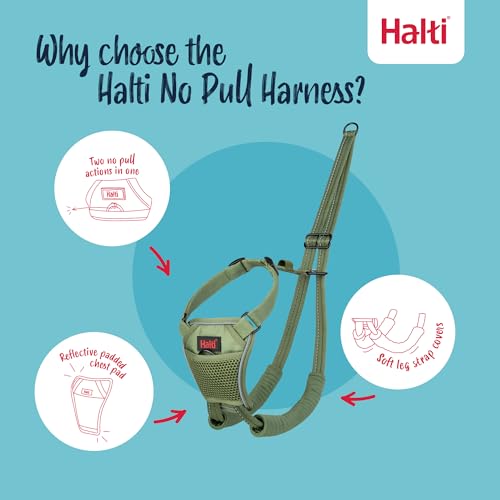 Image of Halti No Pull Dog Harness | Size M, Forest Green