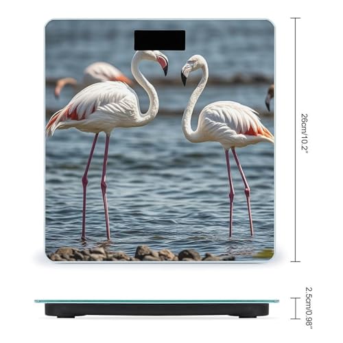 Báscula Digital de Baño Animal Flamingo con Plataforma Amplia miniatura 2