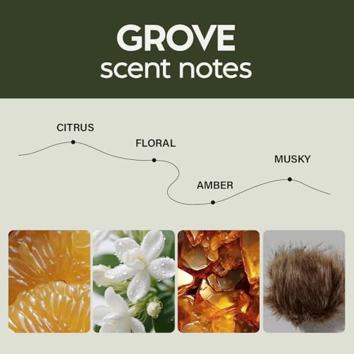 Image of Scented Car Air Freshener - Long Lasting Essential Oil Diffuser - Car Accessories for Men & Women - Pack of 2 Non-Toxic Car Air Freshener - 0.27FL OZ /8ML (Grove 8ml)