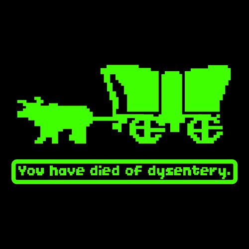 You Have Died of Dysentery Oregon Trail Vinyl Decal Sticker | Cars Trucks Vans SUVs Windows Walls Cups Laptops | Green | 5.5 x 2.8 Inches | KCD2179