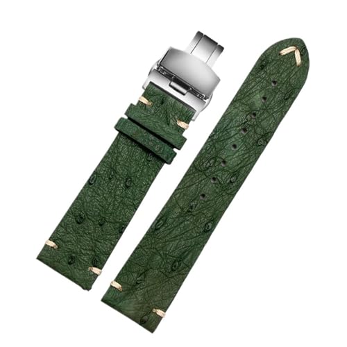 [ȓX] 20 22mm uXbg bNXɓK ZCR[ubNO[ɓK EH[^[S[XgɓK eB\ɓK IKɓK _`EvvohɓK YуfB[XvXgbv(B-green-silver,18mm)