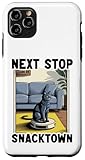 Funny Cat Designs