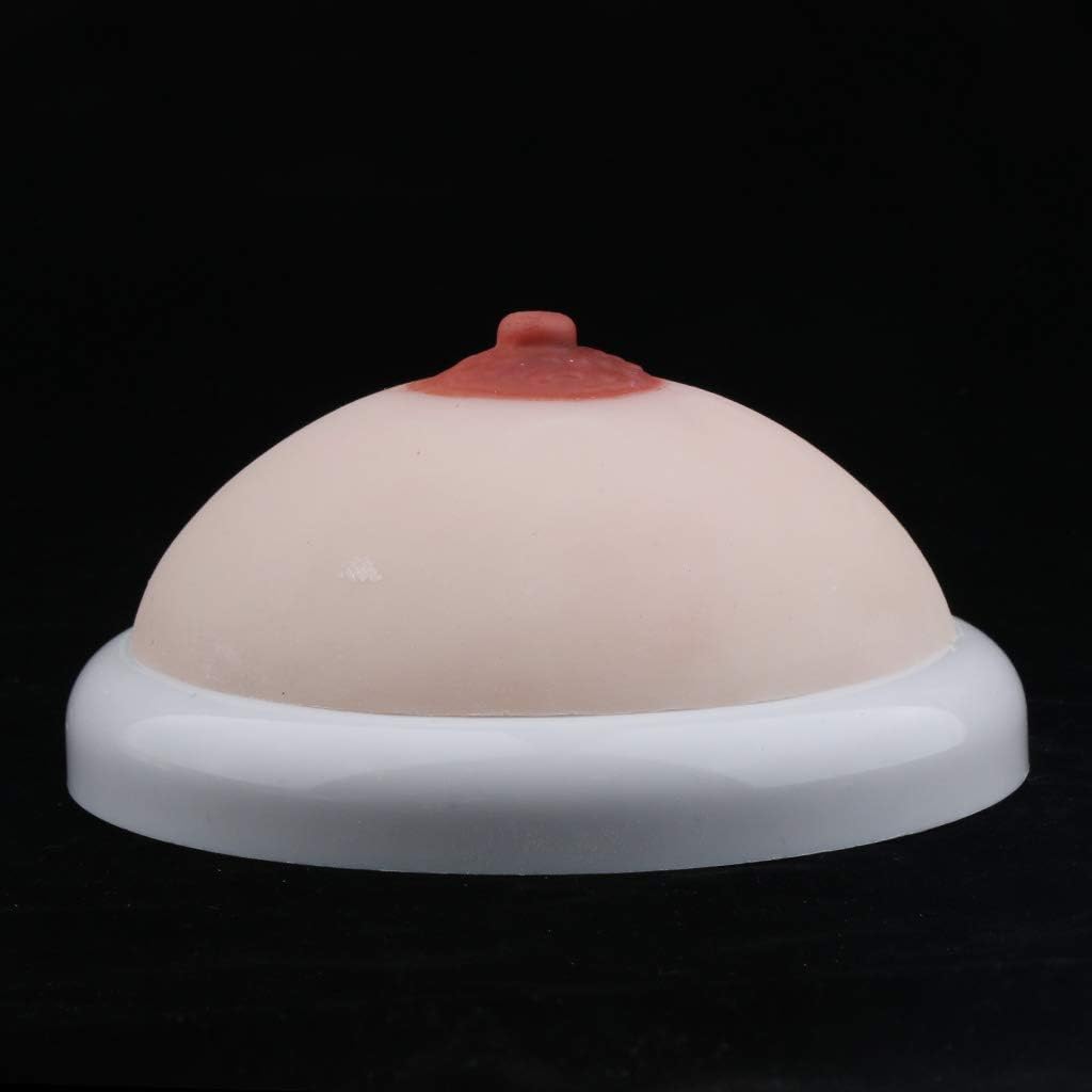 Female Breast Model for Nursing Training Mother Lactogenic Training Lactation Teaching Tools 14.5x6cm