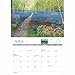 Carousel Worldwide, Country Year Jo Grundy 2026 A4 Wall Calendar