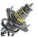 Rear Strut & Coil Spring Assembly Set Driver & Passenger Sides Compatible with 07-11 Honda CR-V