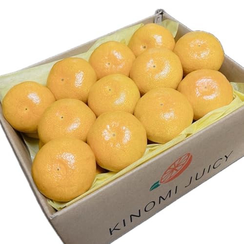 ݂ { a̎R݂ Ε 蕨  ̂Ή TCYw\ Lc݂ bZ[WJ[hΉ t[c}CX^[ďC i` Mtg 1P[X2.4kg? 3kg vmF KINOMI JUICY (MTCY)