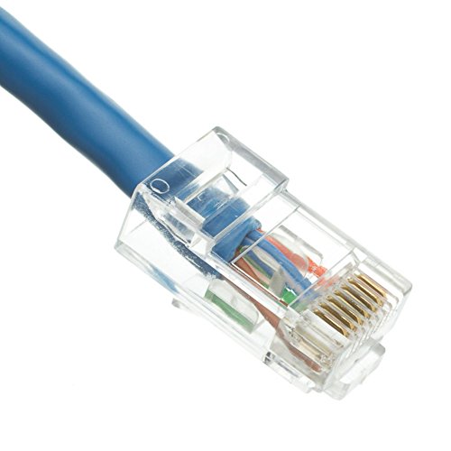 Cable Ethernet Cat5e con conector RJ45 2 pies azul miniatura 2