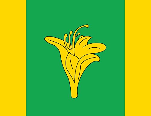 Drapeau Novohrad-Volynskyi Raion grand format pour mât extérieur - 2