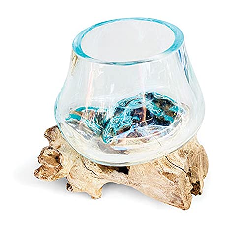 Magnifique vase en verre de 11 cm de diamètre finement soufflé sur une racine de teck - Idéal pour les fleurs ou un terrarium d'intérieur - Chaque pièce est unique Cover