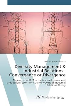 Paperback Diversity Management & Industrial Relations- Convergence or Divergence Book