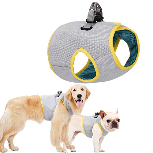 Gilet rafraîchissant pour chiens HMJGDHX veste légère toutes tailles pour marche et camping