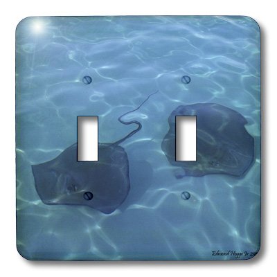 Interrupteur à baïonnette Cayman Island Stingrays multicolore 3dRose LSP_34558_2 - 3