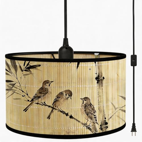 Bioaqua Pendant Light, Boho Hanging Lamp with 15ft Plug in, Lamp Shade