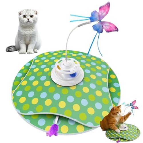 Lifetips �X�R�e�B�b�V���t�H�[���h �X�R Scottish Fold ���� �L����炵 �������� ��l�V�� �[�d�� 3���[�h �H�t�� �m��ߋ� �ԊO�����m �����p �É��݌v ���������Ή� ����Ԉ��S �X�g���X���� ��{�\�h�� �^���s������ ���S��