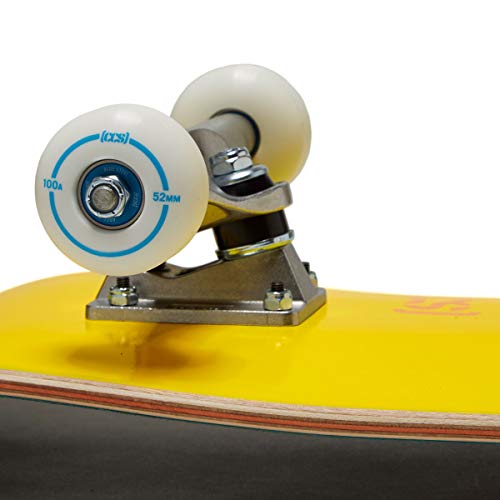 Image of [CCS] Skateboard Complete | Maple Wood | Professional Grade | Fully Assembled with Skate Tool & Stickers | Adults, Kids, Teens, Youth | Boys & Girls