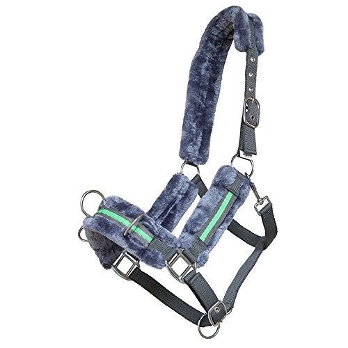 keine Angabe German Riding Clever Pony - Cabestro para Cabestro, Color Gris y Verde