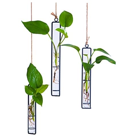 AQRICHFOX Hanging Glass Hydroponic Planter Cover