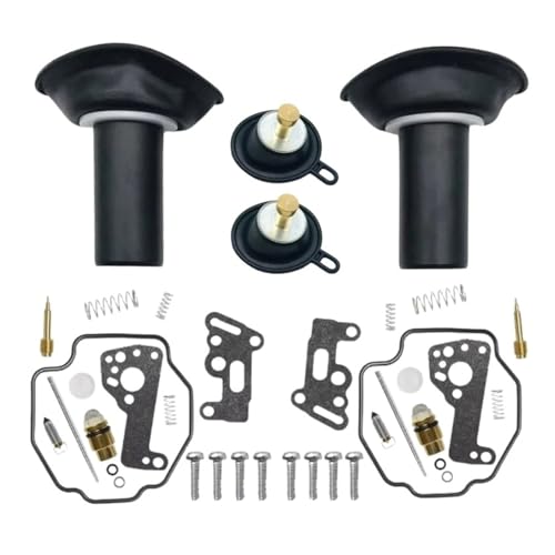 Kit reparación carburador Virago XV535 para solucionar tirones y fugas