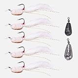 Bryzont Luminous Ice Silk Shrimp Soft Plastic Fishing Lures Bass Trout Fish Bait Pack of 5 with 2 Sinkers (10g & 14g) for Freshwater Saltwater