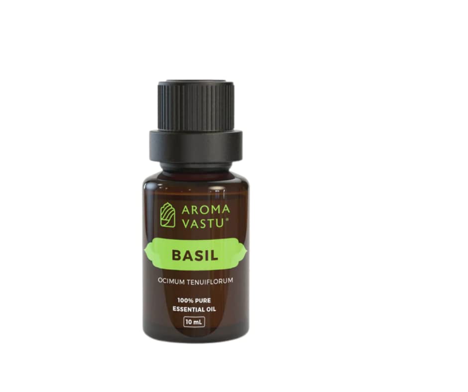 Aroma Vastu Basil Pure Essential Oil- 10ml, Essential Aroma Oil with Diffuser Set for Tea Light Relaxing Aroma oil for Home Office Spa Hotel (B09WDS3LBC) Amazon Price History, Amazon Price Tracker