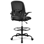 Office Chair Primy Ergonomic Desk Chair with Adjustable Lumbar Support and Height, Swivel Breathable Desk Mesh Computer Chair with Flip up Armrests (Black)