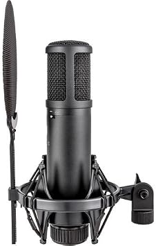 sE Electronics sE2200 Studio Condenser Cardioid Microphone with Isolation Pack plus XLR-XLR Cable and Pop Filter