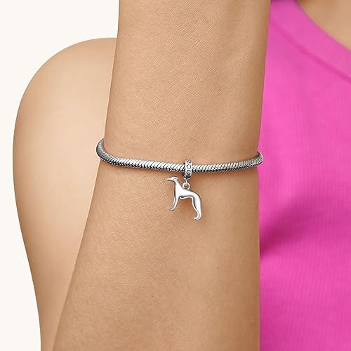 Image of GNOCE Pet Dog Bowl Bead Charm For Women, S925 Sterling Silver Bead Charm NecklaceBracelet for Her, Jewelry Gift