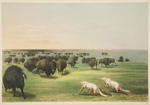 Affiche impression tableau indiens George Catlin image sur toile décoration murale