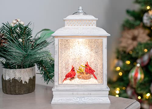 Demdaco Led Whitewash Red Cardinal Scene 10.5 X 6.5 Resin Christmas Decorative Tabletop Snow Water Globe Lantern #TOP5