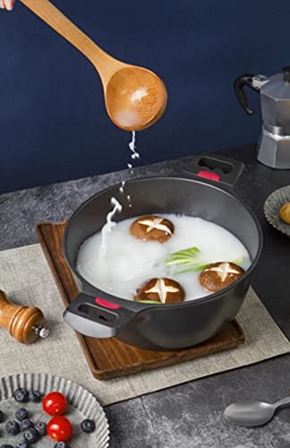 Olla de 24 cm THERMO REGUL de acero inoxidable con tapa de cristal para todo tipo de cocinas