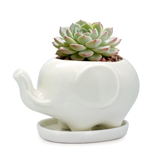 Product Image of the GeLive White Elephant Succulent Planter Ceramic Plant Pot Window Box with Saucer Animal Indoor Tabletop Decor Fun Gift 5 Inch (Mom Elephant)