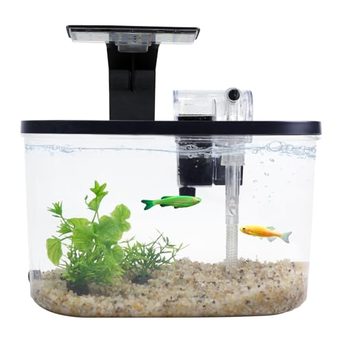 2 Gallon Aquarium Starter Kit with LED Light & Quiet Filter, Complete Small Fish Tank for Betta, Mini Desktop Acrylic Tank, Ideal for Shrimp Guppy Jellyfish Goldfish Beta, Office, Home, or Gift