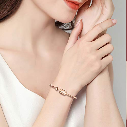 Essential Oil Diffuser Bracelet, Aromatherapy 316L Stainless Steel Adjustable Rose Gold Bracelet With 4Pcs Refill Sticks, Retro Hollow Design Relaxation Bracelet Birthday Gift For Girls And Women (60) #TOP1