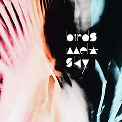 LIGHT / birds melt sky