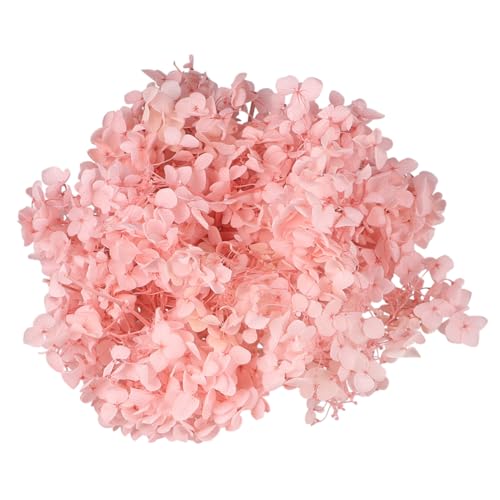 Pétalos secos naturales rosa de hortensia para decoración